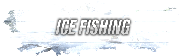 终极钓鱼模拟器VR -全DLC版 Ultimate Fishing Simulator VR